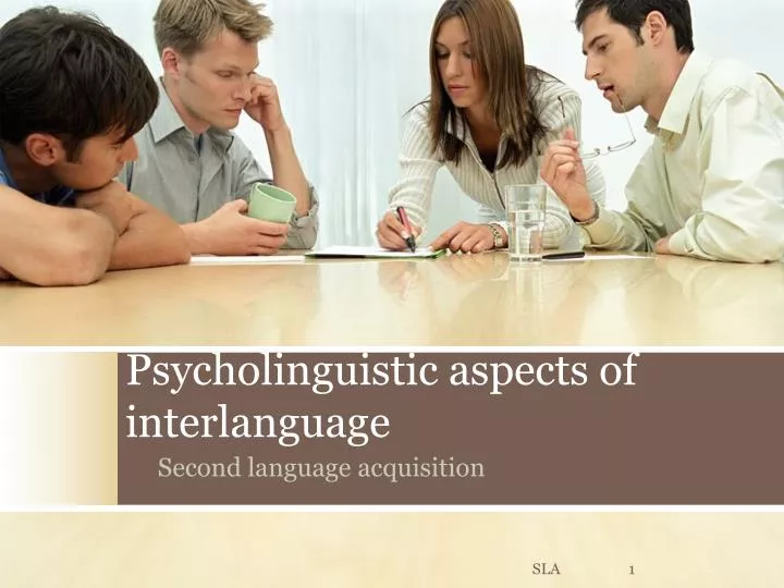 psycholinguistic aspects of interlanguage