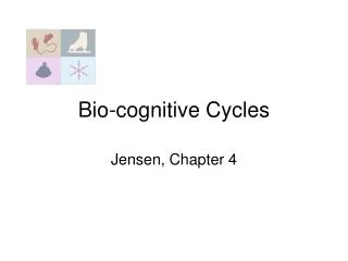 Bio-cognitive Cycles