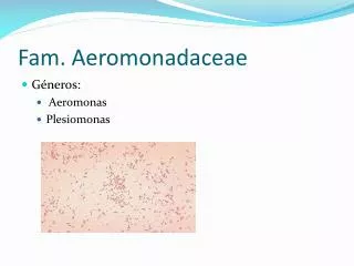 fam aeromonadaceae