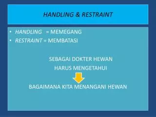 handling restraint
