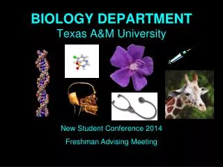 BIOLOGY DEPARTMENT Texas A&amp;M University