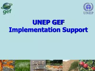 UNEP GEF Implementation Support
