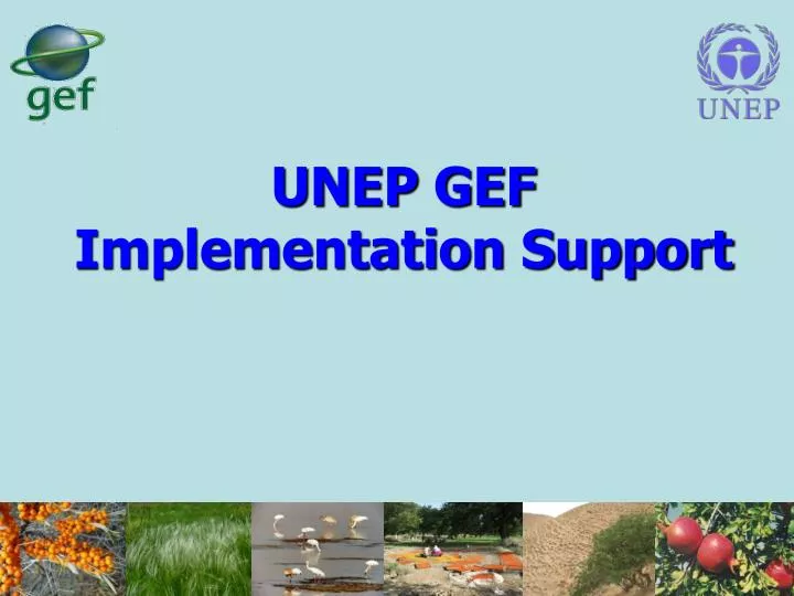unep gef implementation support
