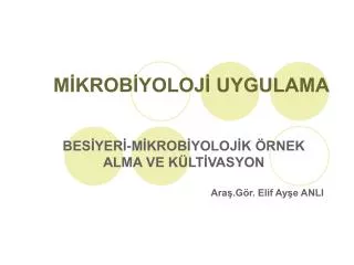 m krob yoloj uygulama