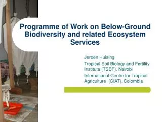 Programme of Work on Below-Ground Biodiversity and related Ecosystem Services