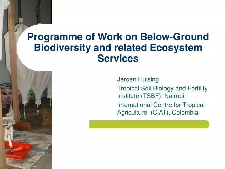 programme of work on below ground biodiversity and related ecosystem services