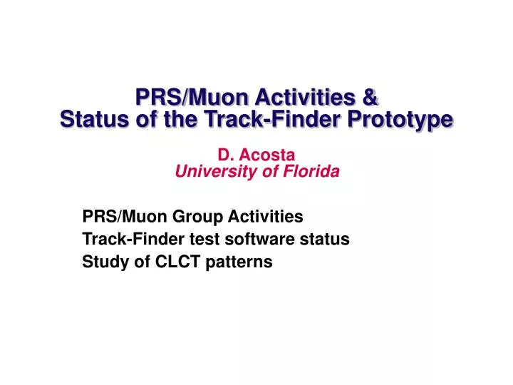 prs muon activities status of the track finder prototype
