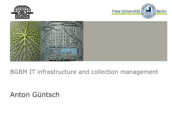 bgbm it infrastructure and collection management