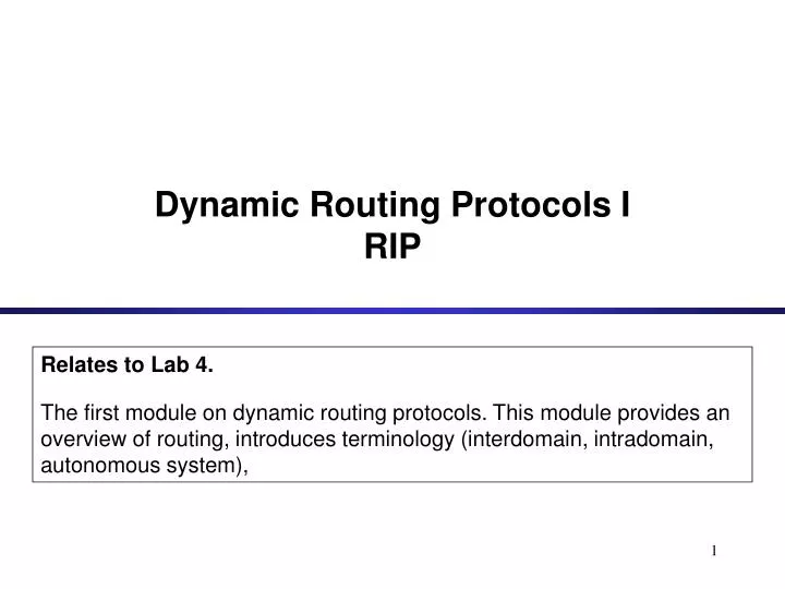 dynamic routing protocols i rip
