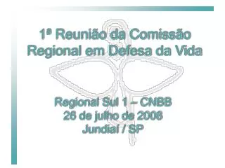 1 reuni o da comiss o regional em defesa da vida