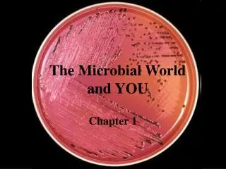 The Microbial World and YOU