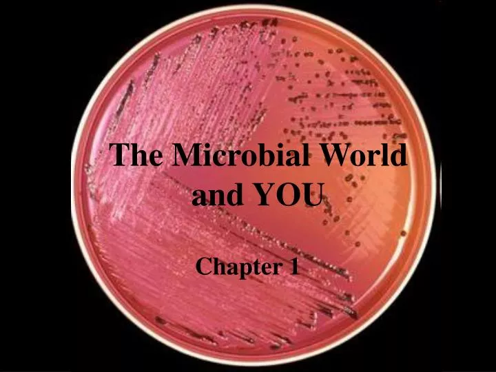 the microbial world and you