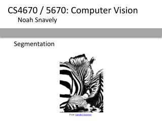 segmentation