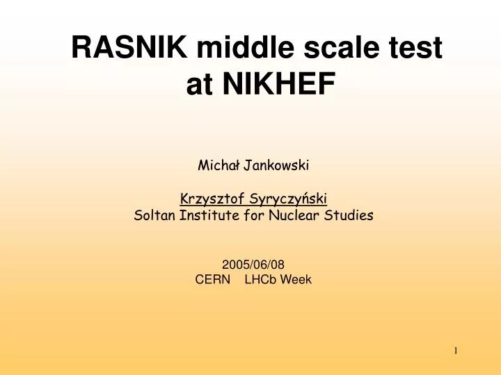 rasnik middle scale test at nikhef