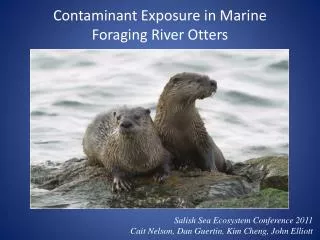 Contaminant Exposure in Marine Foraging River Otters