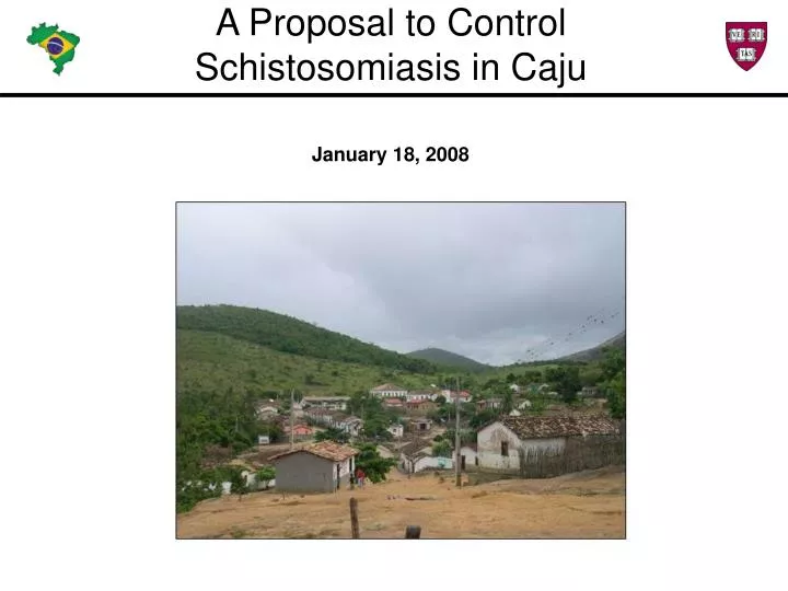 a proposal to control schistosomiasis in caju