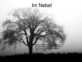 im nebel