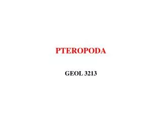 PTEROPODA