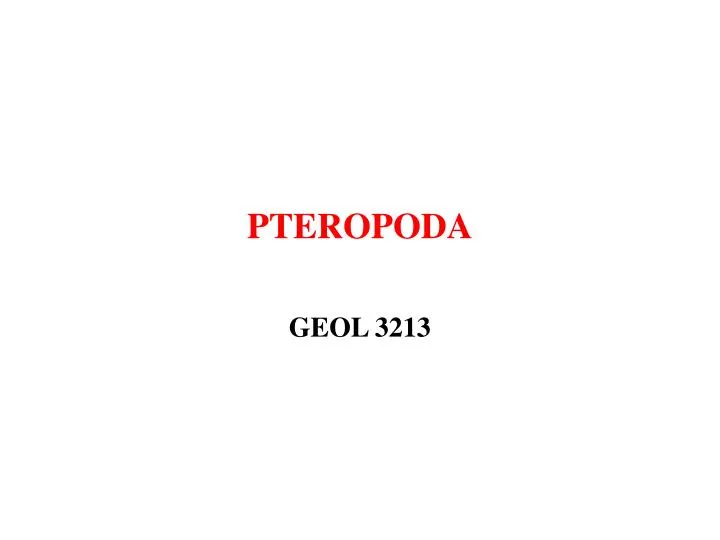 pteropoda