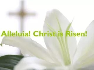 Alleluia! Christ is Risen!