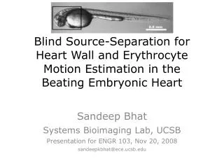Sandeep Bhat Systems Bioimaging Lab, UCSB Presentation for ENGR 103, Nov 20, 2008