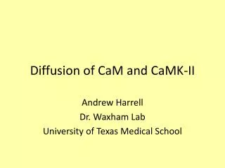 Diffusion of CaM and CaMK-II