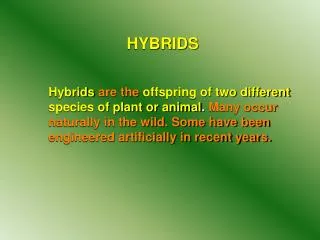 HYBRIDS