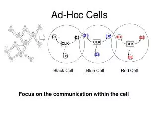 Ad-Hoc Cells