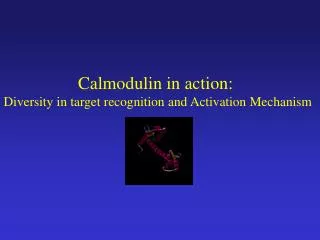 Calmodulin in action: Diversity in target recognition and Activation Mechanism