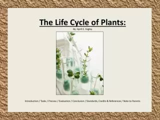 The Life Cycle of Plants: By: April E. Fegley