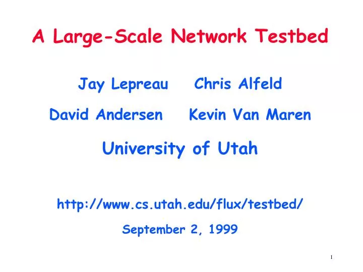 a large scale network testbed