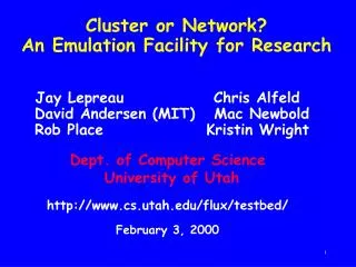 cluster or network an emulation facility for research