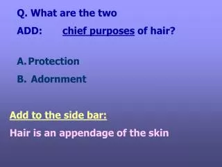 Q. What are the two ADD: chief purposes of hair?