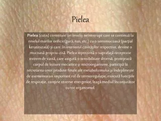 pielea