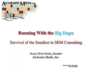 Running With the Big Dogs : Survival of the Smallest in SEM Consulting