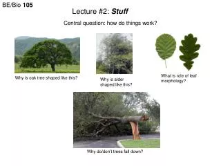 Lecture #2: Stuff