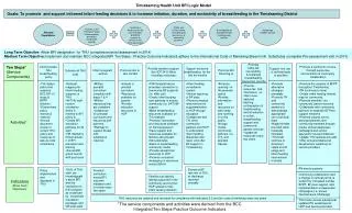 Timiskaming Health Unit BFI Logic Model