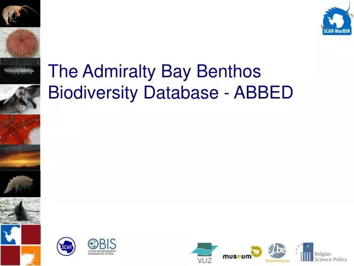 the admiralty bay benthos biodiversity database abbed