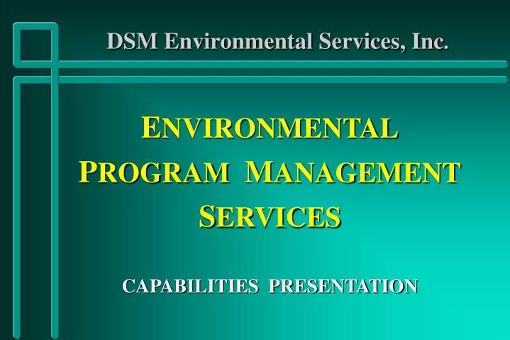dsm environmental services inc