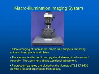 Macro-Illumination Imaging System