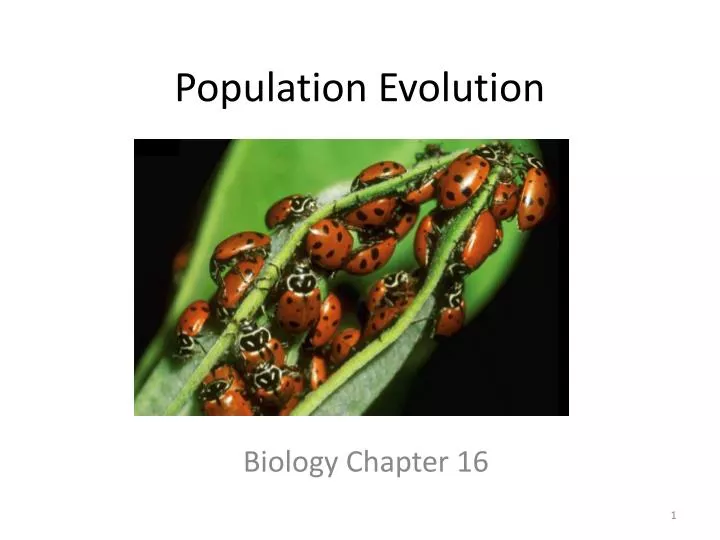 population evolution