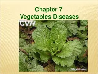 Chapter 7 Vegetables Diseases