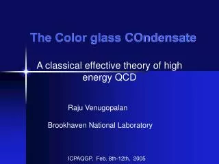 The Color glass COndensate