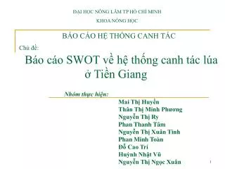 b o c o h th ng canh t c ch b o c o swot v h th ng canh t c l a ti n giang