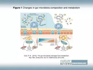 Figure 1 Changes in gut microbiota composition and metabolism