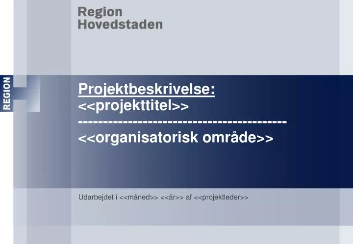 projektbeskrivelse projekttitel organisatorisk omr de