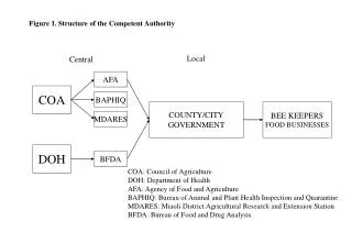 Figure 1. Structure of the Competent Authority