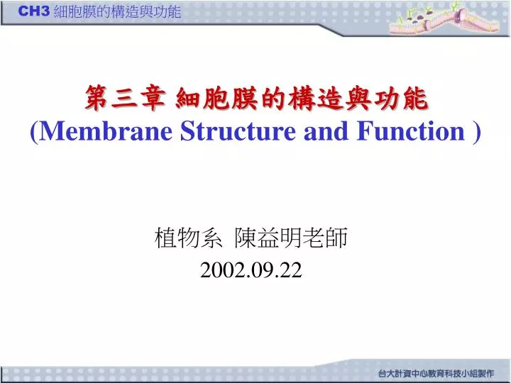 membrane structure and function