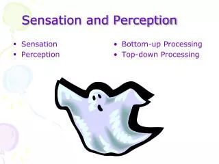 Sensation and Perception