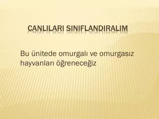 CANLILARI SINIFLANDIRALIM
